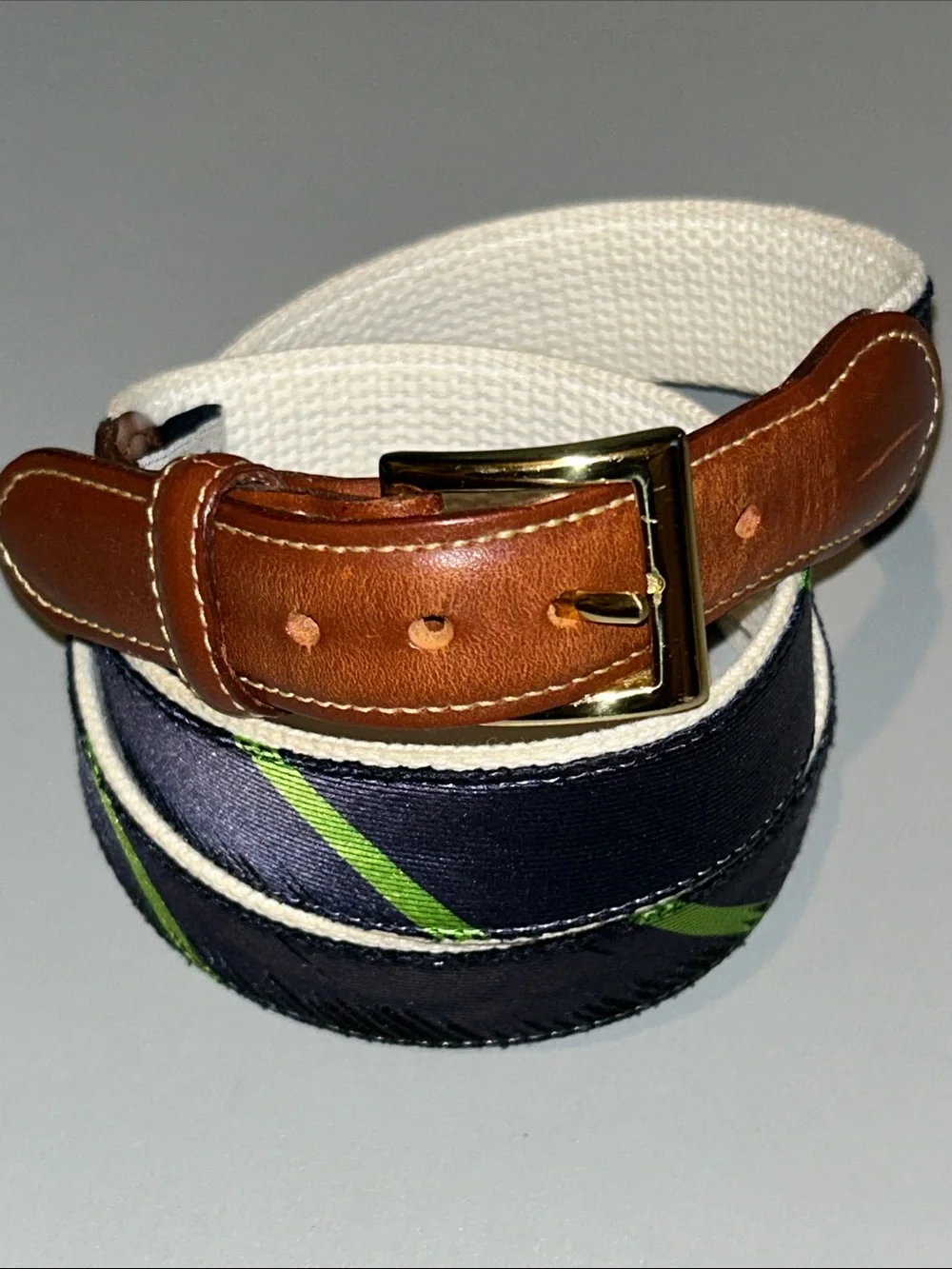 Collared Greens Men's Brown Leather & Navy Stripe Web Belt - Casual Dress